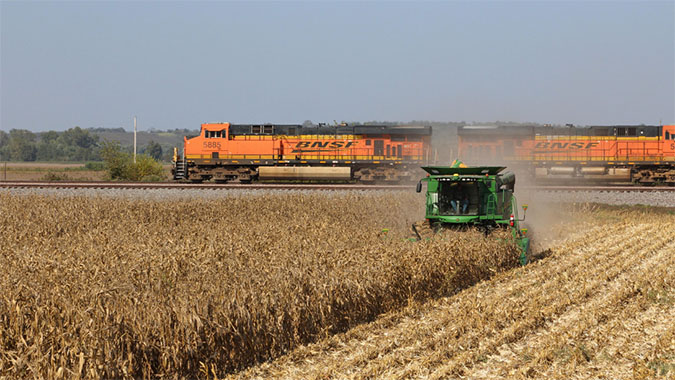 A BNSF train passes a crop being harvested. A BNSF train passes a crop being harvested.
